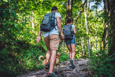 Hiking Tips for the Newbie Hiker