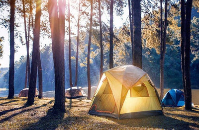 Camping for Beginners: Essential Camping Tools
